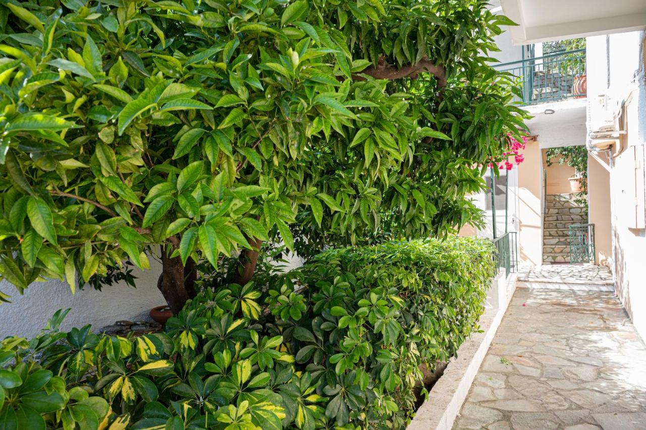 Villa Sofia Sea View Порос Экстерьер фото